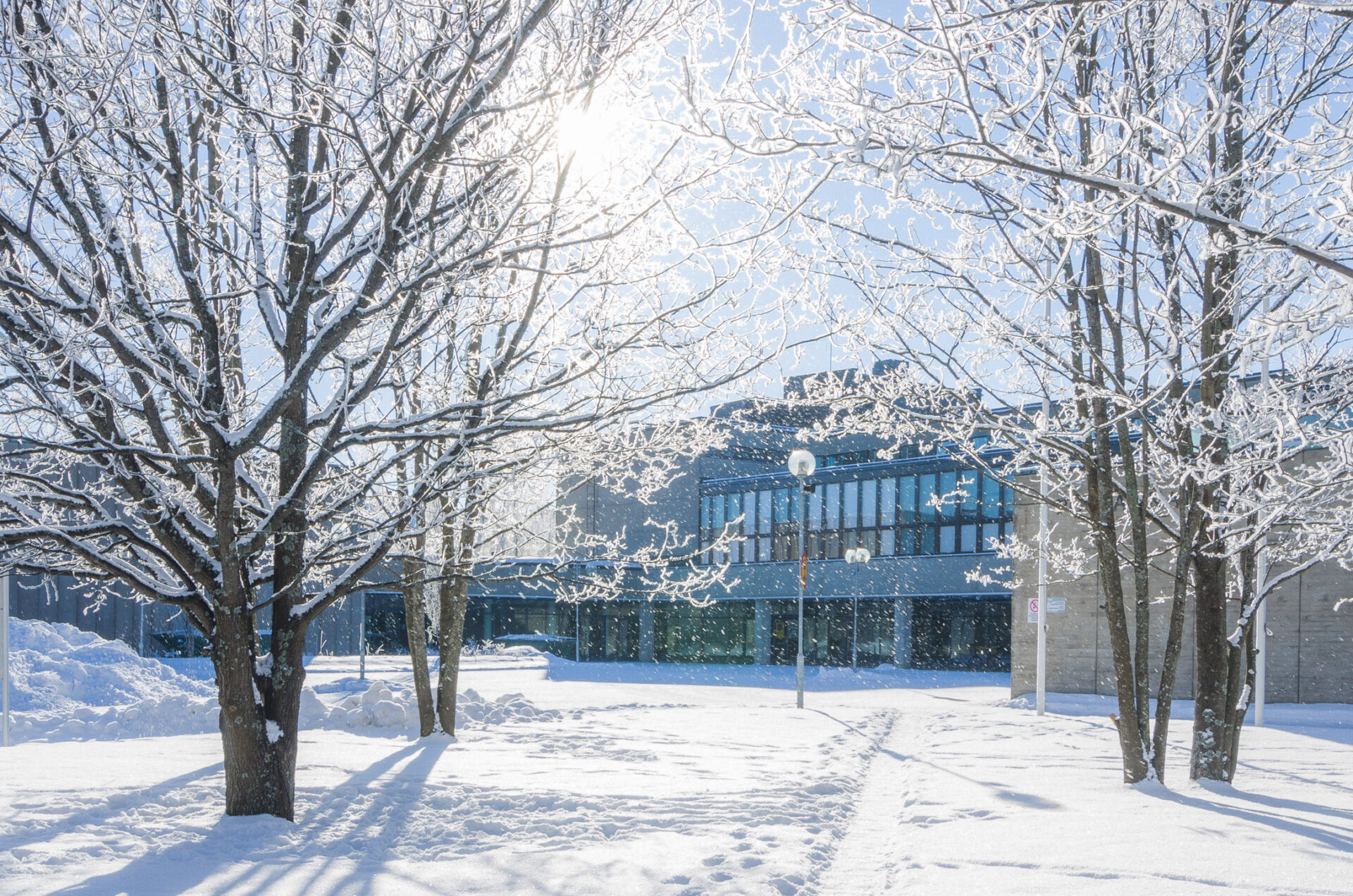 Näkymä ulkoa Pohjankartanon koulu UKI Arkkitehdit